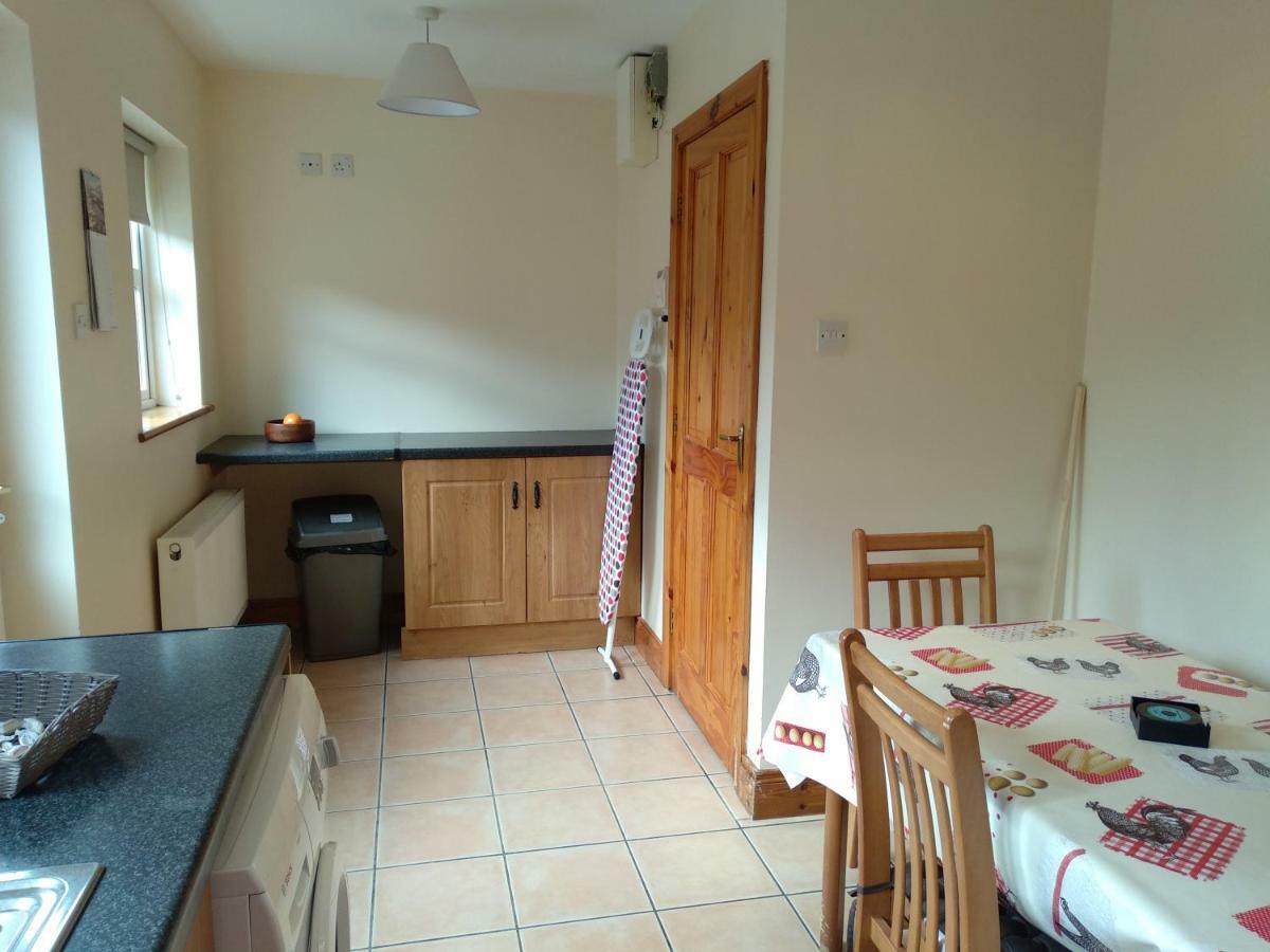 Villa Townhouse 4 Barrow Lane Carlow Exterior foto