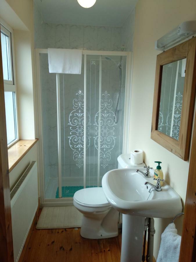 Villa Townhouse 4 Barrow Lane Carlow Exterior foto